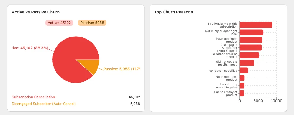 Churn analytics showing the split between active and passive churn and a ranked bar chart of top churn reasons
