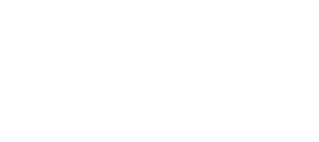 Skio